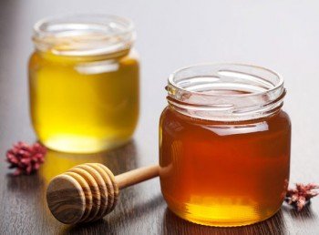 Лечение остеохондроза медом